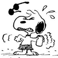 Harrison Craig profile photo