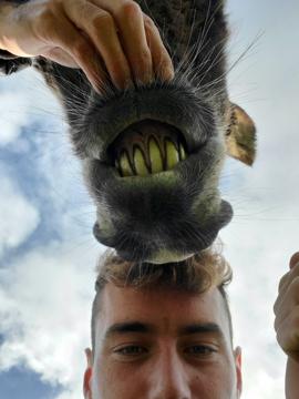 Benoît Merceur profile photo