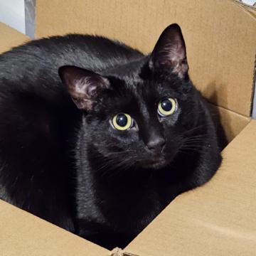 Brian Suarez profile photo