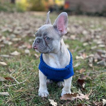 Marquiche Hughes profile photo