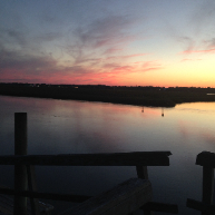 Abe Niedzwiecki profile photo