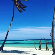 Ministeri Franck profile photo