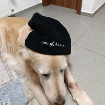 Zdenek Halaska profile photo