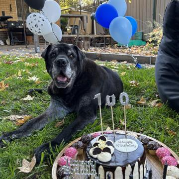 Yelana Jennings profile photo