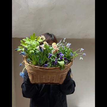 Ning Xu profile photo