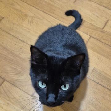 Daniel Casimiro profile photo