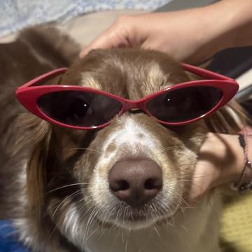 María Fernanda Hernández Estrada profile photo