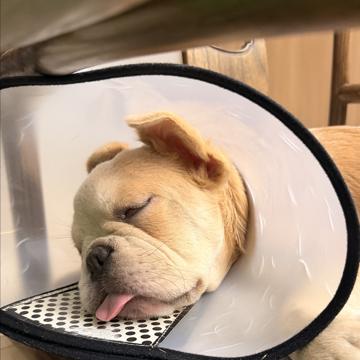 Jerry Lim profile photo