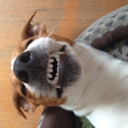 Beverley Carrrozzo profile photo