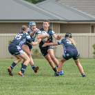 Zoe Lee profile photo