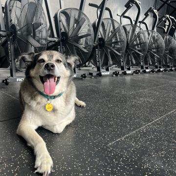 Linda Huynh profile photo