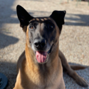 Doug Gooch profile photo