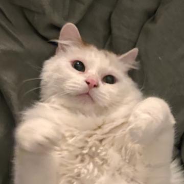 Annie Bleiler profile photo