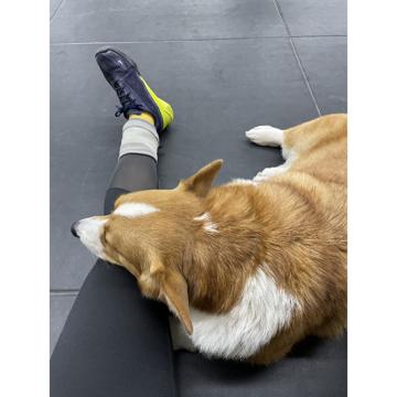 Jimei Li profile photo