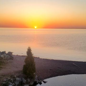 Dan Osborne profile photo