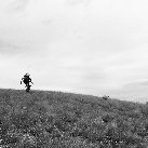 Cory Wetzsteon profile photo