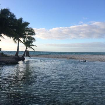 Marta Anguizola profile photo