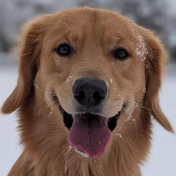 james campbell profile photo