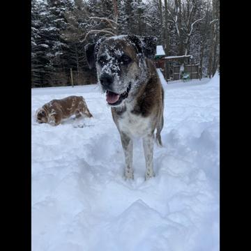 Charlie Cullen profile photo