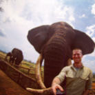 Michael Dickson profile photo