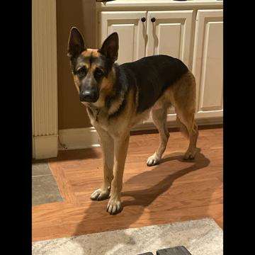 Seth Bridges profile photo