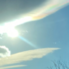 Karen Howard profile photo