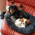 Karen McNamee profile photo