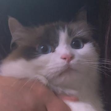 HEE BIN LEE profile photo