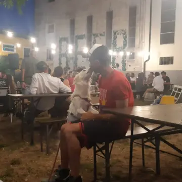 Davide Guidetti profile photo