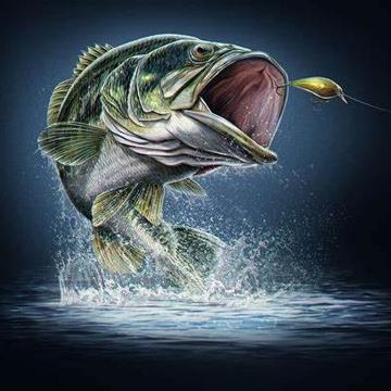 Rick Macri profile photo