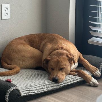 Jordan Weidler profile photo