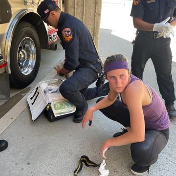 Kelly Cappello profile photo