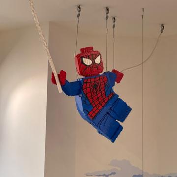 Alex Daems profile photo