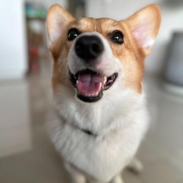 Kiran Easwaran profile photo