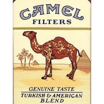 문 카멜 profile photo