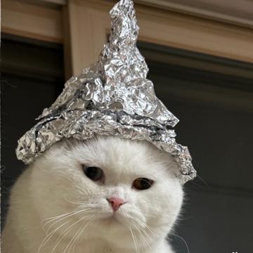 Kanyanat wangcherdchuwong profile photo