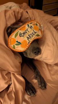 Mia Smith profile photo