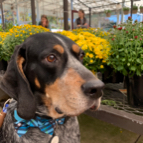 Michael Morales profile photo