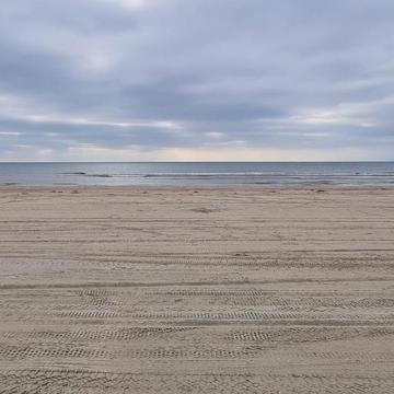 Chris Engler profile photo