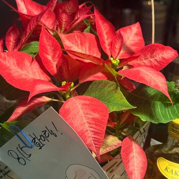 Lee Hyunjae profile photo