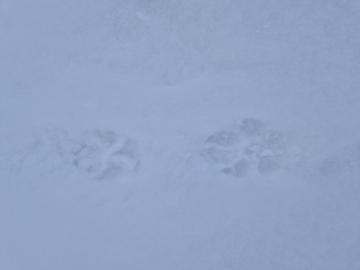 Aleksandra Lech profile photo