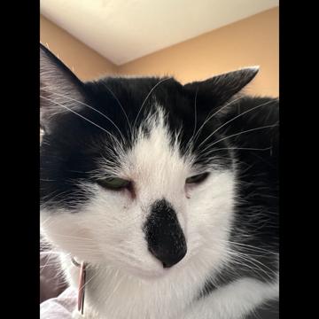 Hannah Lautenschlaeger profile photo