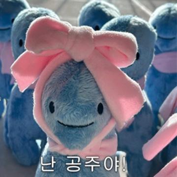 Bomnuri Kim profile photo
