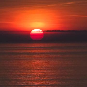 Ingrid Debeugny profile photo