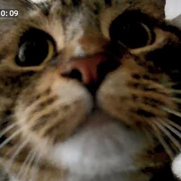 Zora Zhang profile photo