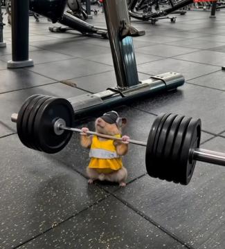 Coralie Piron profile photo