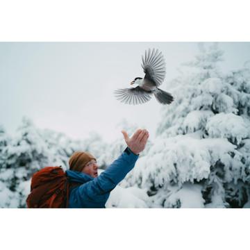 Mark McKeen profile photo