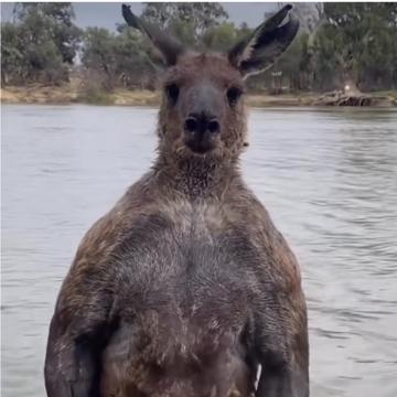 soohyeon shin profile photo