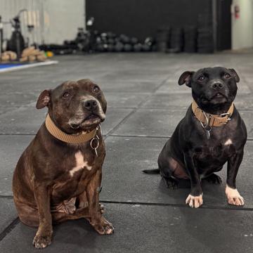 Lisandro Graciano profile photo