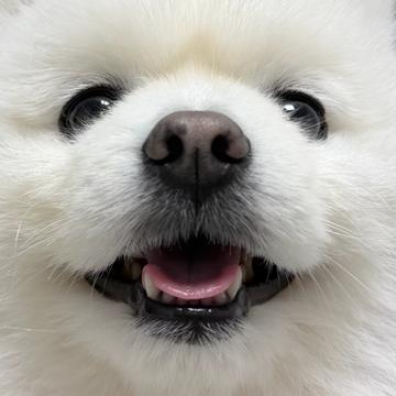 Ungseo Seo profile photo